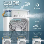 Climatizador con Pulverizador Portátil